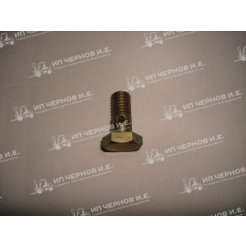 Болт пустотелый крышки фильтра В 321184242