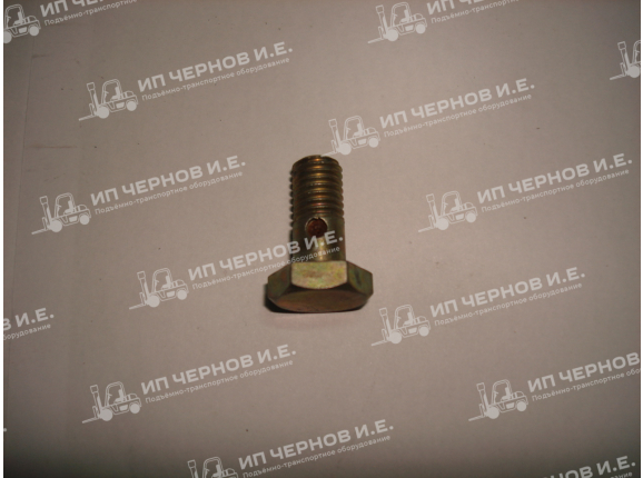 Болт пустотелый крышки фильтра В 321184242