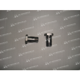 Болт пустотелый Ф 16 (Гх16)