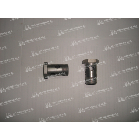 Болт пустотелый Ф 22 (Гх22)