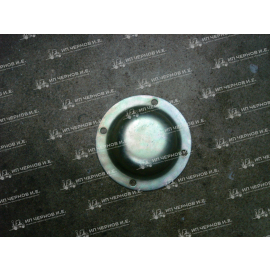 Крышка ступицы ДВ1792 118201 4901