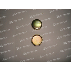 Пробка блока 32 (заглушка) 270315 32418101