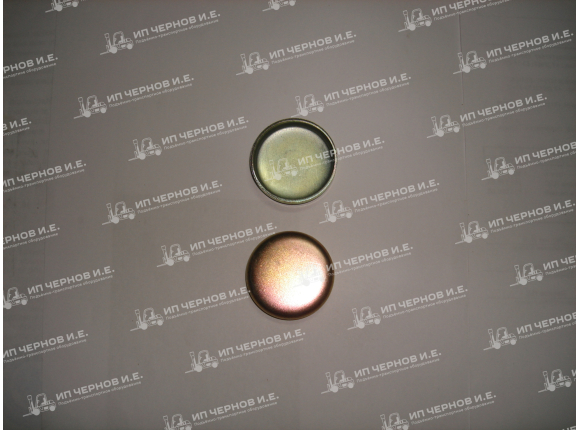 Пробка блока 40 (заглушка) 284929 32418102