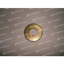 Шайба с зубцом ДВ1792 166603 4925 3 00 00 09