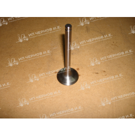 Впускной клапан Д3900 290125