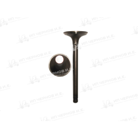 Клапан впускной TOYOTA 1Z,2Z,3Z,11Z,12Z,13Z,14Z,15Z 13711-UD010,13711-78300-71 Клапан впускной TOYOTA 1Z,2Z,3Z,11Z,12Z,13Z,14Z,15Z 13711-UD010,13711-78300-71