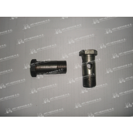 Болт пустотелый Ф 27 (Гх27)