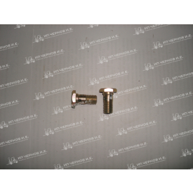 Болт пустотелый 6860 01 00 03 Ф 12  трубки ГДП