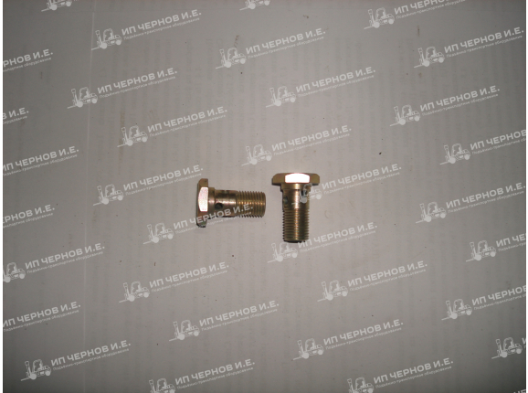 Болт пустотелый 6860 01 00 03 Ф 12  трубки ГДП