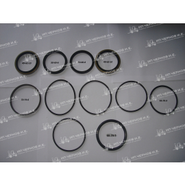 Ремкомплект цилиндра управления д-50 Komatsu FD20-30-14 -17 NP23353-05162