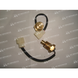 Датчик температуры HC WG-2K(RC1/2)-G00