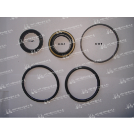 Ремкомплект цилиндра управления д-22 TCM FD10-18 T19 25594-59802