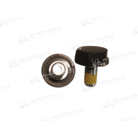 Болт полюсной (короткий) М10х22