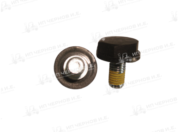 Болт полюсной (короткий) М10х22