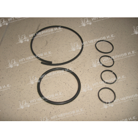 Ремкомплект кольца АКПП Hyster .N005,L177,G004