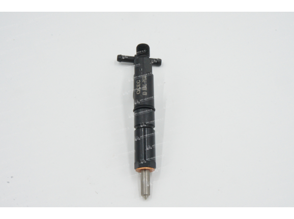 Форсунка Quanchai QC490GP 2409002510007, 2409502500030, изображение 3