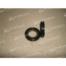 Сальник пальца рулевой тяги CPCD20-35 XR310-224000-000